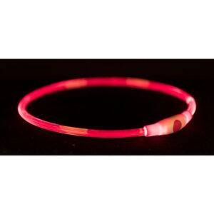 Trixie Lichtgevende Halsband Rood